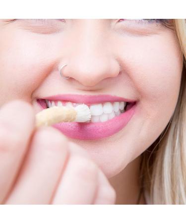 Teeth Brushing Stick Natural Tooth Cleaning Chewing Traditional Tooth Stick Natural Herbal Toothbrush Effective Miswak Stick Breath Freshener from Middle East for Teeth Stain Removal - Buy Online on GoSupps.com