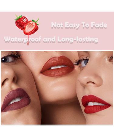 Velvet Matte Liquid Lipstick Set for Women | 3 Colors Lip Gloss Stain | Long Lasting Waterproof Formula | Non-stick Cup | Makeup Cosmetics (Set-B) - Buy Online on GoSupps.com