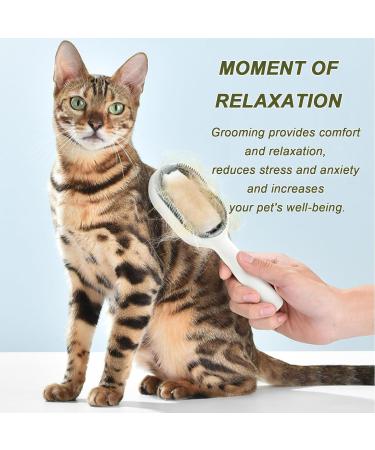 Pet Hair Removal Comb With Water Tank Dog Brush Cat Brush for Long Haired Cats Dogs Multifunctional Pet Cat Hair Remover Brush 3 in 1 Self Cleaning Cat Brush Grooming Brush (Short Green) Short-Green - Buy Online on GoSupps.com