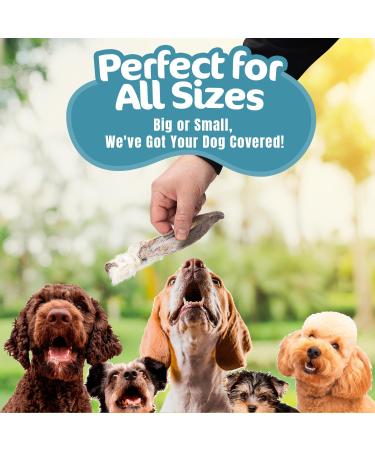 Riverside Rabbit Ears with Fur for Dogs (500g 20-25 Ears) - Very Hypoallergenic 100% Natural Air-Dried Treats For All Dogs - Large Small Adult Puppies - Raw Dog Treats - UK COMPANY 500 g (Pack of 1) - Buy Online on GoSupps.com