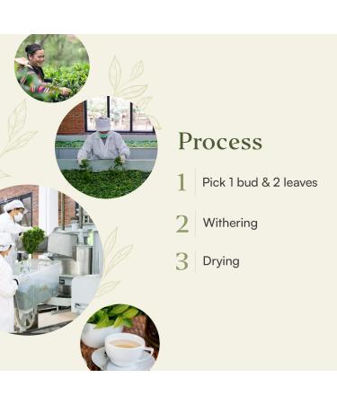 Araksa Organic White Peony Tea - Handcrafted Premium Thai White Tea | 1oz Tin Pack - Buy Online on GoSupps.com