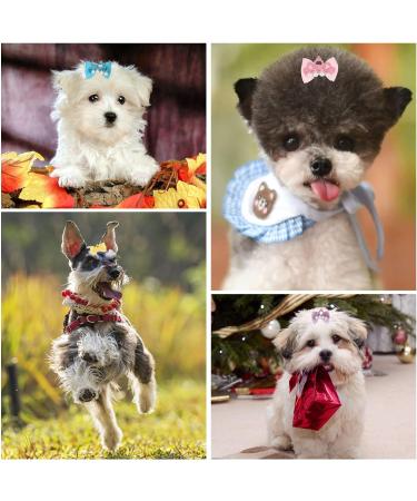 Dog Hair Bows with Rubber Bands 20 Pcs Cute Crown Pearl Bow Dog Hair Bands Hair Rope Pet Hair Accessories Grooming Products for Puppies Cats Small Animals - Buy Online on GoSupps.com