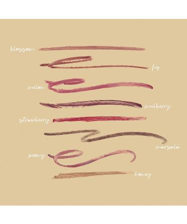 Honest Beauty Lip Crayon in Demi-Matte Fig | Lightweight High-Impact Color with Jojoba Oil & Shea Butter | EWG Certified, Dermatologist Tested, Hypoallergenic & Cruelty-Free | 0.105 oz - Buy Online on GoSupps.com