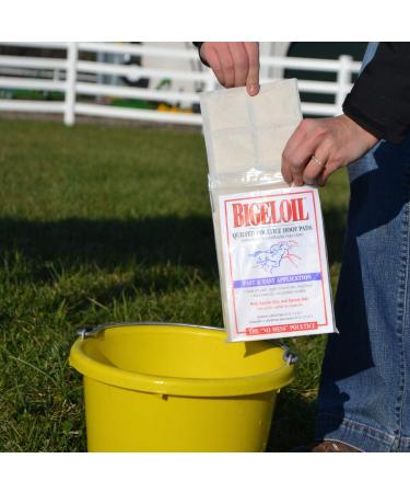 Signature Bigeloil Quilted Poultice Hoof Pad - 4 Pack - Clear Unisex 427944 - Buy Online on GoSupps.com