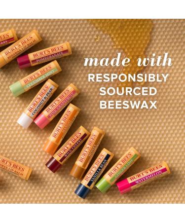 Burt's Bees Moisturizing Lip Balm 4 Pack - Assorted Flavors (0.15 oz each) - Buy Online on GoSupps.com