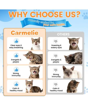 L-Lysine Supplement for Cats - Immune & Respiratory Support for Feline Health - Promotes Eye Function, Reduces Sneezing & Runny Nose - Natural Defense Boost - Roast Chicken Flavor, 60ML - Buy Online on GoSupps.com