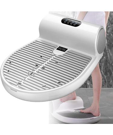 Body Dryer Negative Ions Full Body Dryer 2 Gears Adjustable 1350W/50HZ Toilet Body Dryer After Shower Hand Dryer Body Hair Dryer for Household(Withoutweightscale) Withoutweightscale A