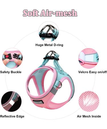 Doramio Dog Harness for Small Dogs - Reflective Breathable Step-In Design with Leash - Anti-Train Safety Harness for Cats & Dogs (L Pink/Blue) - Buy Online on GoSupps.com