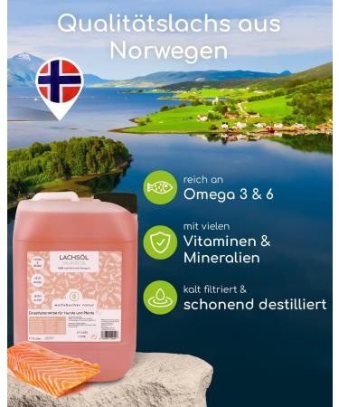 Premium Norwegian Salmon Oil for Dogs & Horses - Omega 3 & 6 - 5L Natural Supplement - Buy Online on GoSupps.com