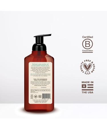 Soapbox Foaming Hand Soap 11oz Pump Bottles, Aloe Water & Sage, 3 Ct - Vegan, Cruelty-Free, Moisturizing Hand Wash for Kitchen & Bathroom - Buy Online on GoSupps.com