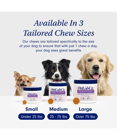 PetLab Co. Allergy & Immune Daily Probiotics for Dogs - 30 Chews | Supports Yeast Allergies Itchiness & Gut Health - Buy Online on GoSupps.com