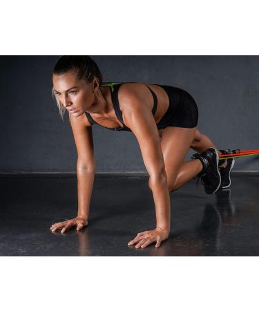 Shop PTP 1544 POWERTUBE Resistance System - Premium One Size Workout Equipment for Strength & Flexibility - Buy Online on GoSupps.com