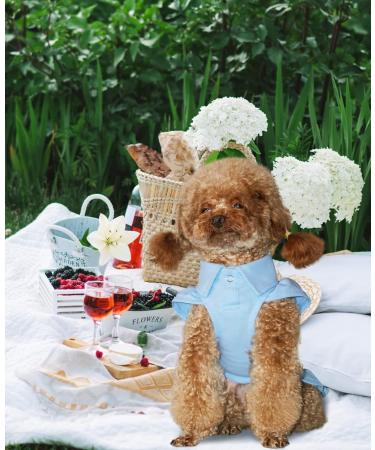 Topkins Dog Dresses Puppy Polo Dresses for Small Dogs Girl Dog Sundress Costume with Pleated Hem Suitable for Spring Summer Autumn (Blue) Blue M - Buy Online on GoSupps.com