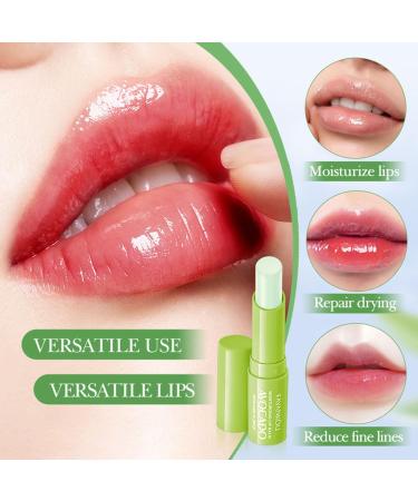 7pcs Avocado Skincare Kit Skin Care Gift Set with Facial Cleanser Toner Lotion Face Serum Face Cream Eye Cream Lip Balm For Hydrating Skin Anti-Aging Skin For Women Teen Girls (7 Count) - Buy Online on GoSupps.com