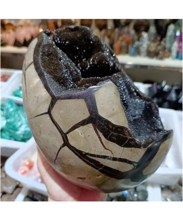 Natural Crystal Rough Crystal Cluster Natural Turtle Back Cracked Stone Crystal Ore Home Office Decoration Longevity Good Luck Stone (Size : 200-250g) - Buy Online on GoSupps.com