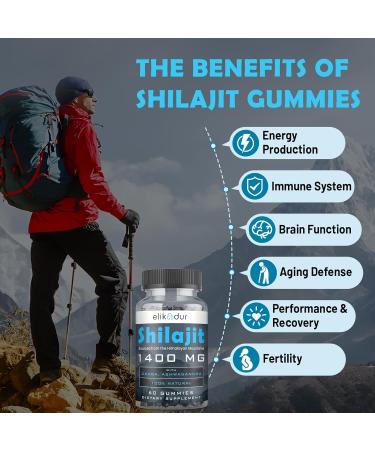 84 000 MG Organic Shilajit Gummies with 85+ Trace Minerals Fulvic Acid Shilajit for Men & Women Energy & Immune Support High Potency Gold Grade Sugar-Free Vegan 100% Natural 60 Gummies 60 Count (Pack of 1) - Buy Online on GoSupps.com