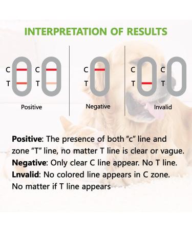ISENVO Rapid Detection of Giardia in Dogs and Cats - Giardia Test Reliable Detection of Intestinal Parasites and Diarrhea - Used for Giardia in Dogs and Cats (2pcs) - Buy Online on GoSupps.com