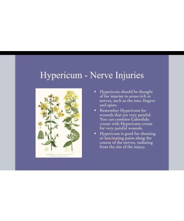 Hypericum Calendula Cream 24 pack - Buy Online on GoSupps.com