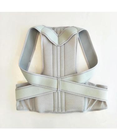 Back Support Belt Men Women Adjustable Posture Corrector Lumbar Back Support Brace Silver XL - Buy Online on GoSupps.com