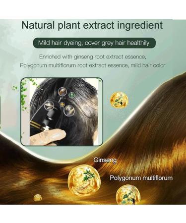 behound XUSHENG Black Fruit Dyeing Cream2023 New Natural Plant Fruit Hair Dye with Comb18 Plant Extract Hair Dye Essence Natural Fruit Hair Dye Cream for Women Men 1 PcsChestnut Brown 1 Pcs Chestnut Brown - Buy Online on GoSupps.com