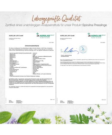 Premium Spirulina Tablets - 100% Natural Vegan Nutrients (300 pcs) | Vitamins Minerals & Amino Acids for Immune System - B rbel Drexel  - Buy Online on GoSupps.com