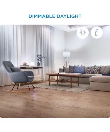 WiZ Connected 60W Daylight Smart WiFi Light Bulb | Dimmable 5000K | Compatible with Alexa & Google Home | No Hub Required | 1 Count - Buy Online on GoSupps.com