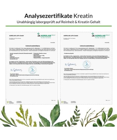 Buy Ultrafine Creatine Monohydrate 500g - High-Dose Vegan Powder Made in Germany | Pure & Lab-Tested - Buy Online on GoSupps.com