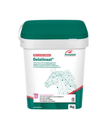 PRIMEVAL Gelatinaat Powder – Supports and Contributes to the Flexibility and Joint Function of the Horse – Complementary Food Based on Collagen Type I and II, Magnesium, Calcium – 2 kg Bucket