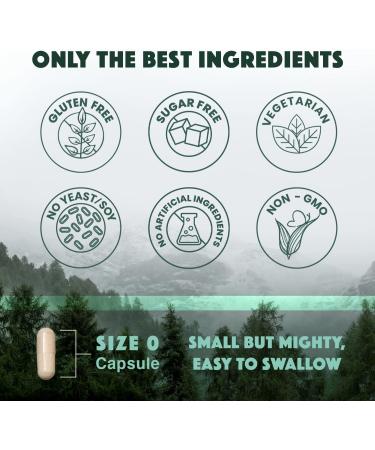 Natural Rhythm Triple Calm Magnesium 150mg - 120 Capsules, Magnesium Supplement with Glycinate, Malate & Taurate - Buy Online on GoSupps.com