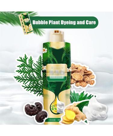 Plant Bubble Hair Dye Shampoo - Vegetable Hair Dye - Hair Coloring And Conditioning 3 Effects In 1 - Beirou BubblePure Plant Extract For Gray Hair Color Bubble Dye (coffee) - Buy Online on GoSupps.com