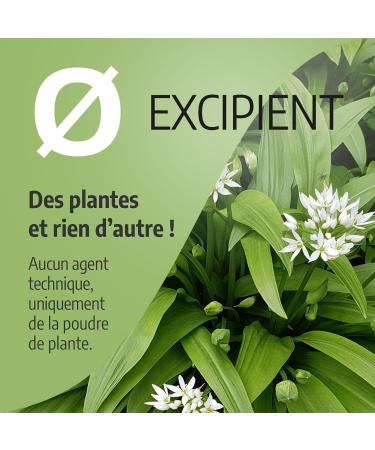 Bear Garlic 280 mg -180 capsules - Buy Online on GoSupps.com