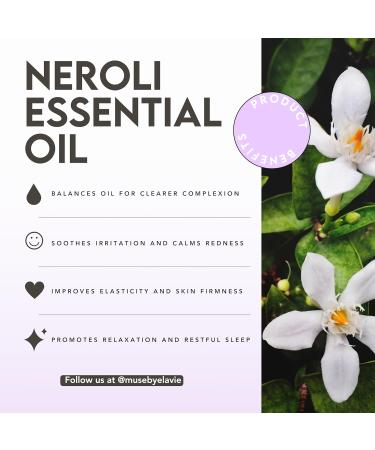 Muse by Elavi - Advanced Night Serum 1% Squalane for Deep Hydration & Skin Repair Overnight Recovery for Fine Lines & Dryness Lightweight Fast-Absorbing Formula - 1 oz - Buy Online on GoSupps.com