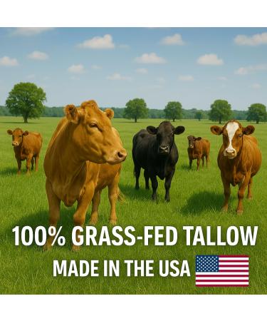 All Natural Beef Tallow For Skin - Grass Fed Beef Tallow and Honey Balm with Almond Oil - Unscented Whipped Tallow Moisturizer for Dry Skin Eczema & Sensitive Skin Care | Handmade in USA | 4oz - Buy Online on GoSupps.com