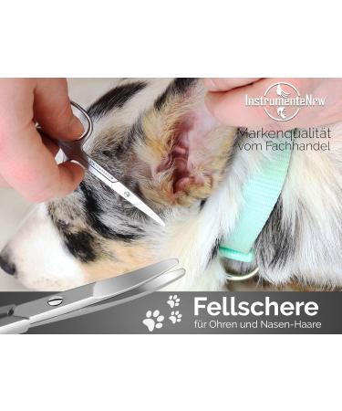 Paw Scissors: 9 cm Small Fur & Dog Hair Scissors for Precise Grooming - Perfect for Pet Owners - Buy Online on GoSupps.com