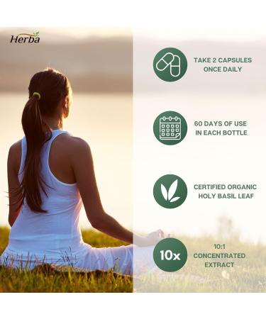 Herba Organic Holy Basil Capsules 3 500mg Equivalent | 120 Vegetable Capsules | 350mg - 10:1 Extract | Tulsi Helps Relieve Cough Cold and Mucus Buildup | Made in Canada - Buy Online on GoSupps.com