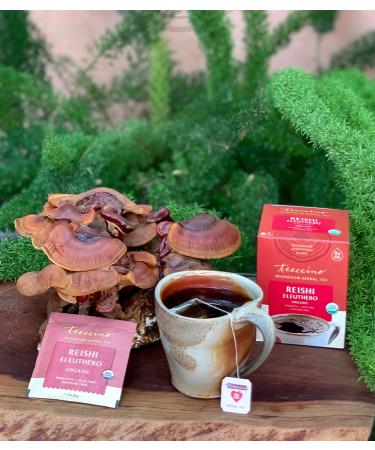 Teeccino Organic Reishi Eleuthero Mushroom Herbal Tea - Caffeine Free, 10 Bags (60g) - Buy Online on GoSupps.com