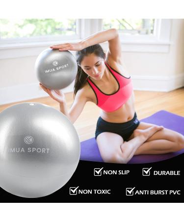 Imua Sport 9-Inch Barre Ball for Barre, Yoga, Pilates - Exercise Ball with Workout Guide - Buy Online on GoSupps.com