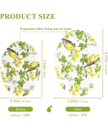 3-Pack Cleaning Kitchen Sponges Oval Green and Oriole Bird Kitchen Cellulose Dishwashing Wood Pulp Cotton - Buy Online on GoSupps.com