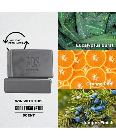 Art of Sport Mens Bar Soap - Charcoal Activated Hand, Face, and Body Soap - Eucalyptus Fragrance - Made with Natural Botanicals - Moisturizing Tea Tree Soap - Victory Scent - 3.75 Ounce (Pack of 2) - Buy Online on GoSupps.com