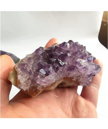 Natural Crystal Rough Amethyst Rough Stone Natural Big Raw Amethyst Quartz Purple Crystal Cluster Stones Home Decoration Crafts Amethyst Cluster Ornament (Color : Purple Size : 110-140g) 110-140g Purple - Buy Online on GoSupps.com