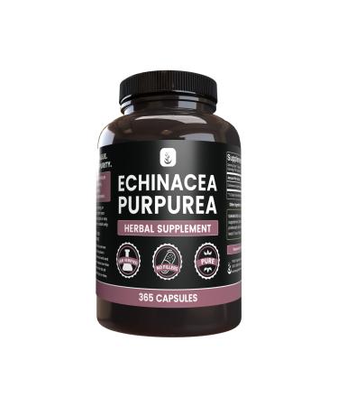 PURE ORIGINAL INGREDIENTS Echinacea Purpurea (365 Capsules) No Magnesium Or Rice Fillers Always Pure Lab Verified 365 Count (Pack of 1)