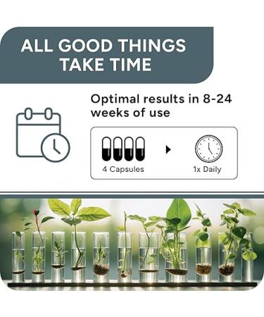 UROPROSTIS - High Potency Prostate Support Complex Men's Health Formula for Prostate Comfort - 13 Ingredient Blend Including Saw Palmetto - Vegan & Gluten-Free Premium Supplement - 120 Capsules - Buy Online on GoSupps.com