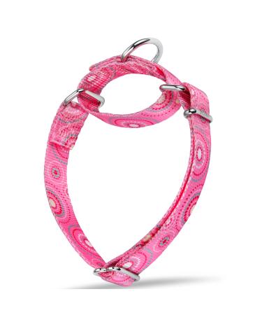 Dazzber Martingale collar no pulling anti-escape pet collar for extra small and small dogs adjustable 20.3 cm to 27.9 cm fireworks dots pink X-Small 5/8 inch fireworks points pink