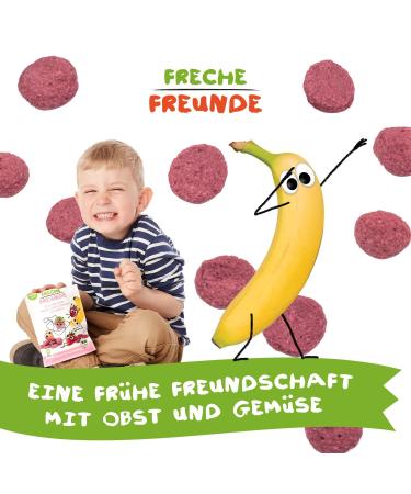 Buy FRECHE FREUNDE Organic Fruit Chips - Banana Apple Strawberry with Yoghurt | 12 Pack - Healthy Snack for Smoothies - International Shipping - Buy Online on GoSupps.com