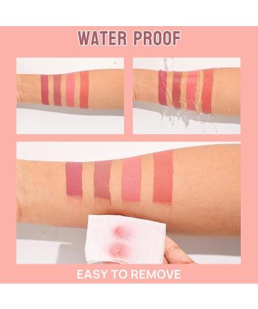 CHAKAE 4 Pack Matte Liquid Lipsticks Waterproof Moisturizing Lipsticks for Travel Daily Party - Buy Online on GoSupps.com