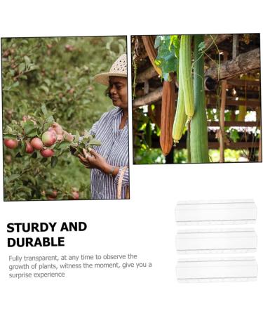 CIYODO 3pcs Cucumber Mold Cucumbers Fruit Growing Molds for Garden Cucumber Shaping Mold Square Vegetable - Buy Online on GoSupps.com