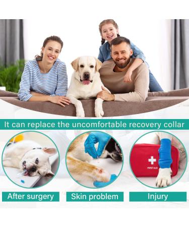 Etdane Dog Onesie After Surgery Pet Surgical Recovery Suit Anti Shedding Bodysuit for Female Male Dog Long Sleeve Claming Pajamas with Legs Grey/XXL XX-Large Grey - Buy Online on GoSupps.com
