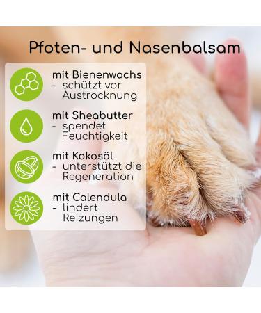 Wolfsbach Nature Pfotenbalsam for Dogs & Cats | 100% Natural Beeswax Balm for Softer Paws | Cracked & Brittle Paw Relief | Unscented Winter Protection - Buy Online on GoSupps.com