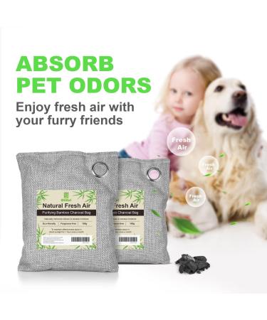 10 Pack Bamboo Charcoal Air Purifying Bags - Activated Charcoal Odor Absorber & Moisture Eliminator - For Car, Closet, Shoe Room, Large Room, Pet Room - 10x100g - Buy Online on GoSupps.com