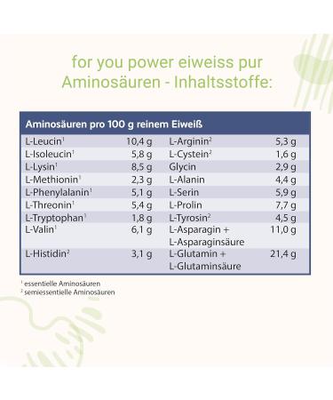 Power Protein by Dr. Strunz - Creamy Multi-Component Egg Whey Soy and Chicken Protein with Free Shaker | Optimal L-Carnitine Vitamins & Minerals - Buy Internationally - Buy Online on GoSupps.com